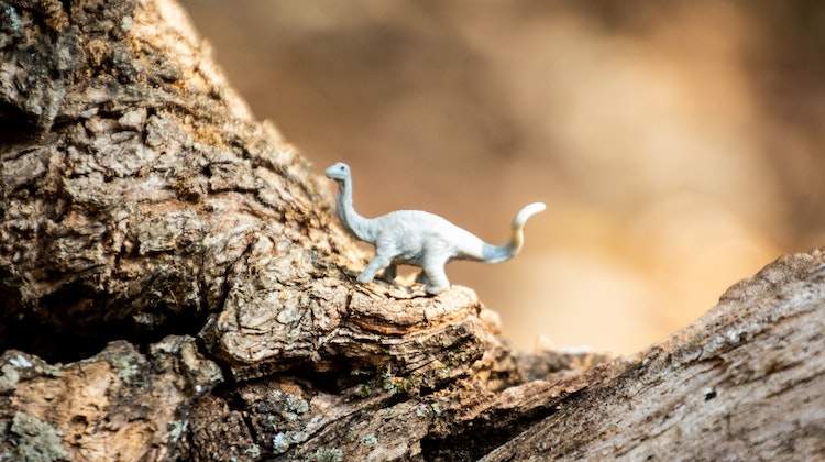dinosaurus speelgoed in bos